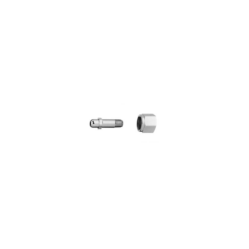 Bay Corporation Nipple w/filter, 2" x 1/4" NPT Male, 543F